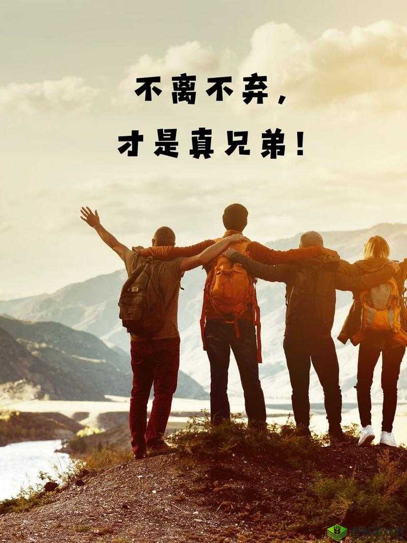 兄弟情深共赴未来,携手开启璀璨未来篇章