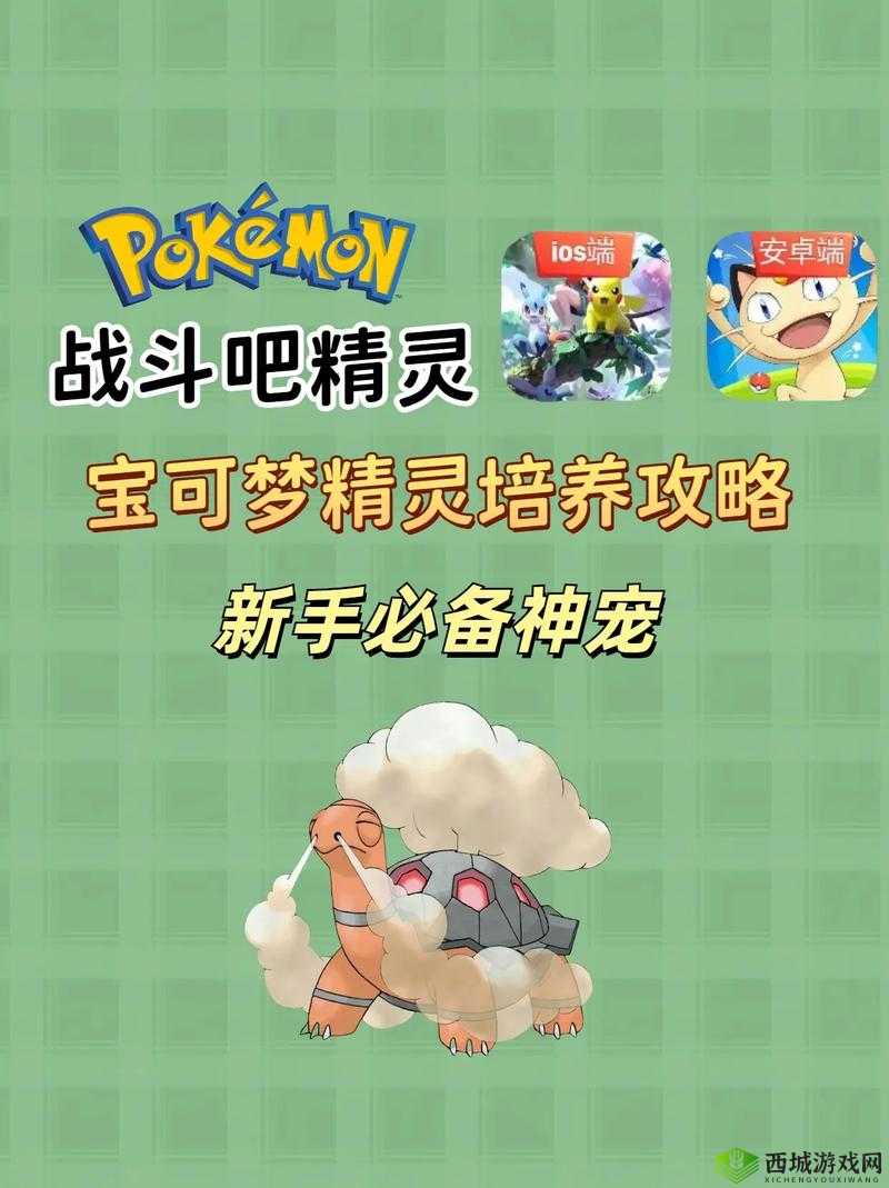 宝可萌原生精灵养成技巧,怎么培养好