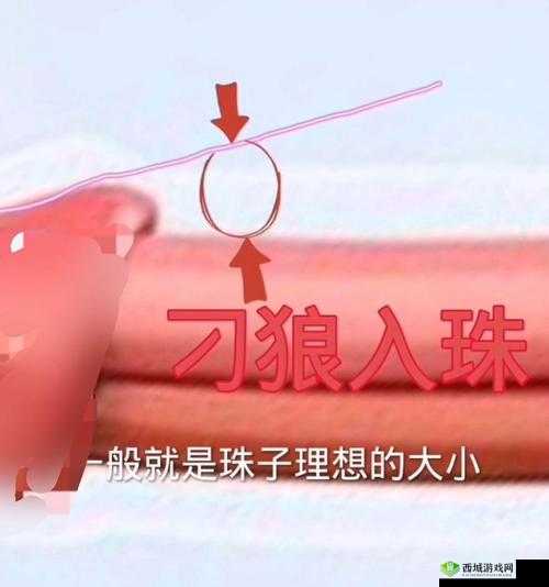 佛珠一个一个挤出去啊哈是怎么回事?探秘这一奇特现象的背后真相