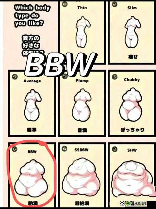 缅甸丰满BBwBBwBBw是什么意思?为何备受关注?探秘背后的神秘魅力
