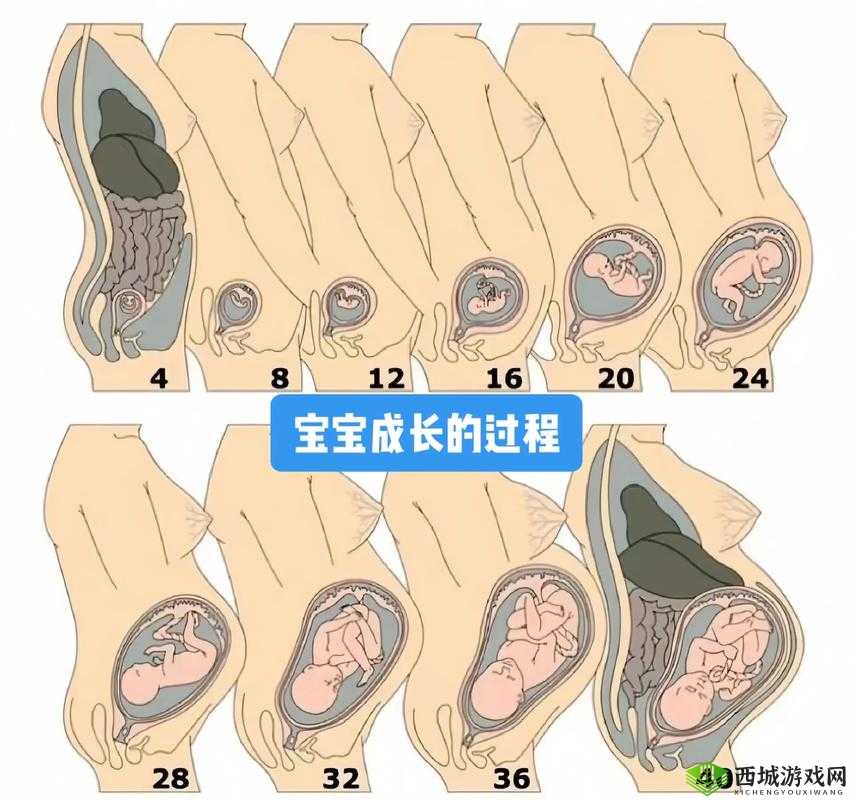 生孩子的地方,你知道几个?