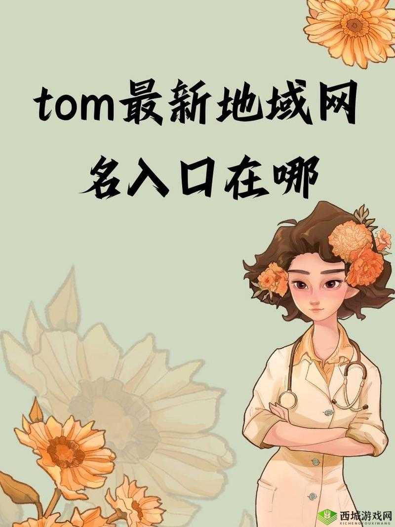 tom永久地域网名入口在哪?全面解析如何快速找到tom永久地域网名的准确入口