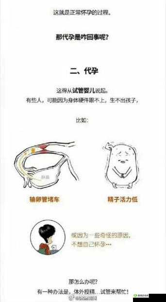 les 可以通过代孕拥有自己的孩子吗?