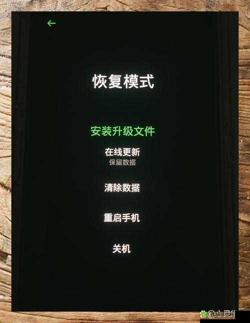 3.0.3 免费 oppo 版下载破解相关疑问解答，如何快速获取及注意事项或者：3.0.3 免费 oppo 版下载破解怎么找？这里有详细方法与你分享或者：3.0.3 免费 oppo 版下载破解秘籍大公开，快来了解具体步骤吧