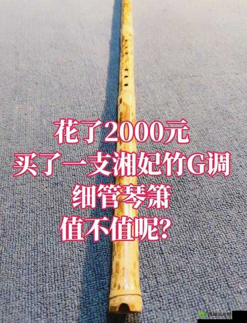 烟雨江湖湘妃竹,珍稀资源的深度解析