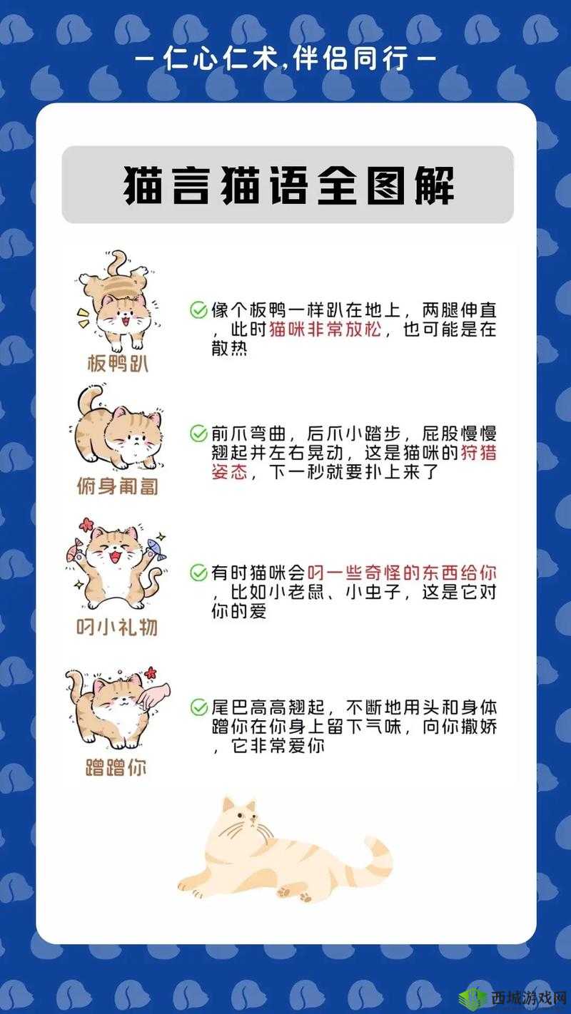猫语咖啡,猫咪技能的作用与种类介绍