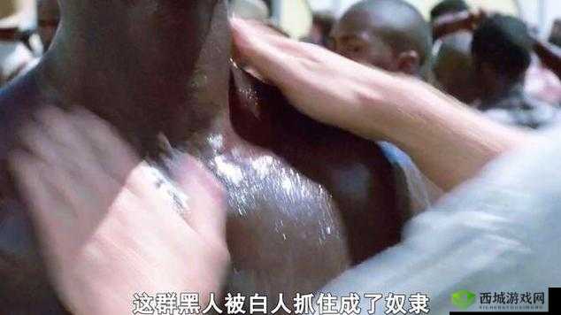 探索欧美激情黑人巨大11的魅力:音乐与文化的深度交融