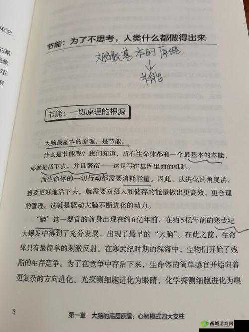 脑洞大侦探找隐藏第二十关攻略,底层逻辑与操作映射的深度解析